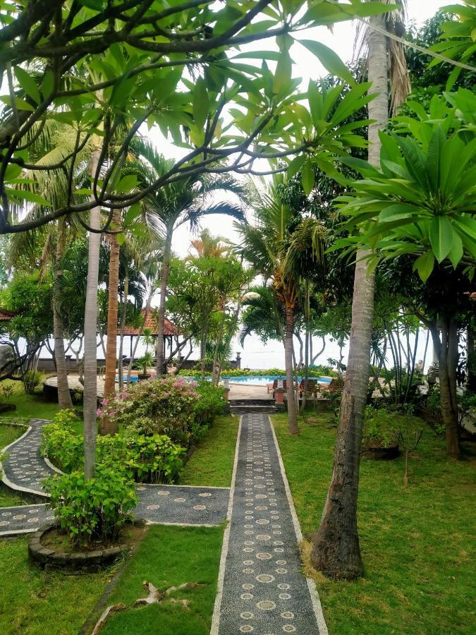 Coral Bay Bungalows Amed Dış mekan fotoğraf