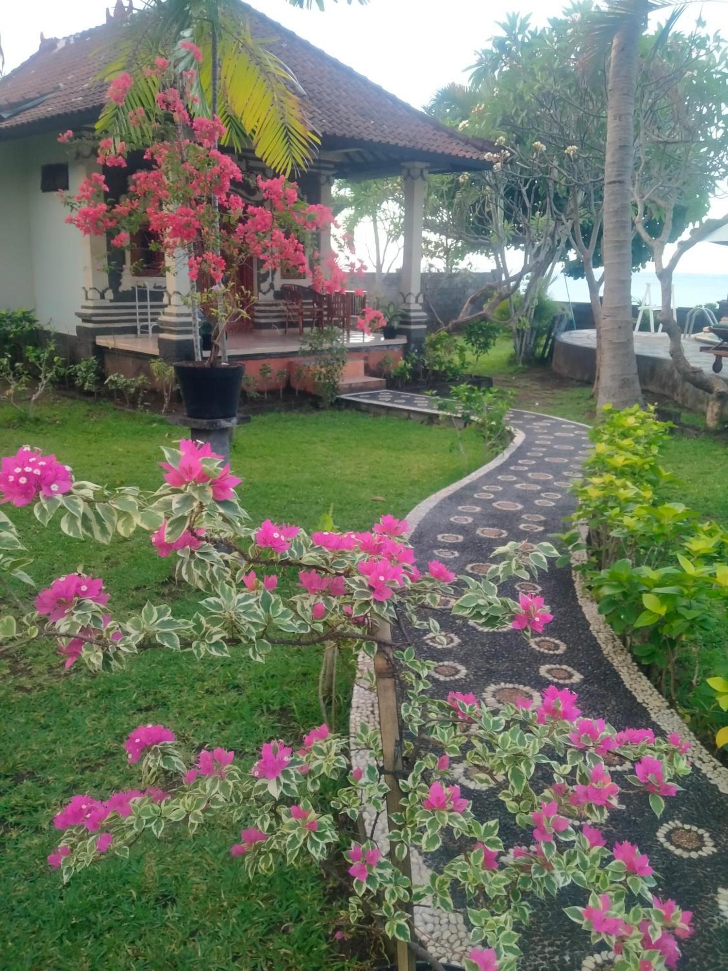 Coral Bay Bungalows Amed Oda fotoğraf