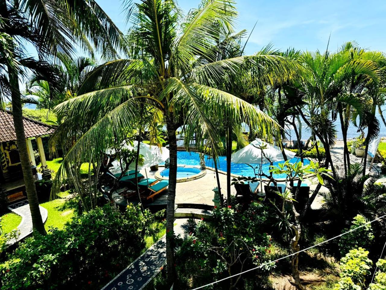 Coral Bay Bungalows Amed Dış mekan fotoğraf